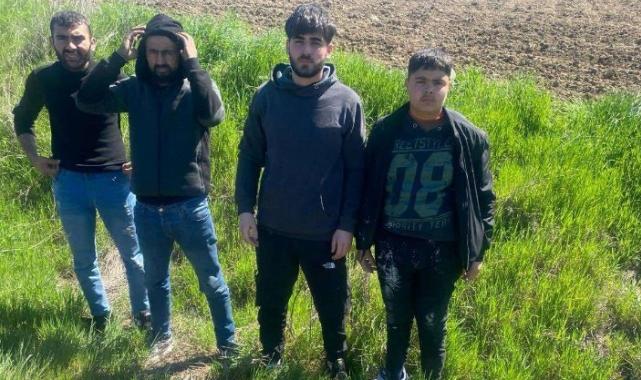 Edirne'de 4 göçmen yakalandı!