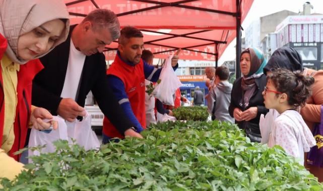 İzmit'te tarımsal kalkınmaya fide desteği