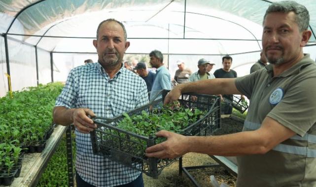 Muğla Milas'ta üreticilere fide desteği