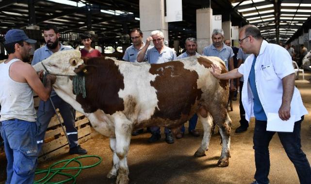 Osmangazi Belediyesinde Kurban Bayramı hazırlığı