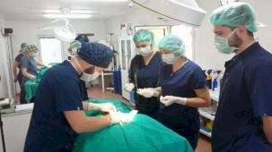 Geleceğin veteriner hekimlerine Osmangazi'de eğitim