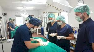 Geleceğin veteriner hekimlerine uygulamalı eğitim