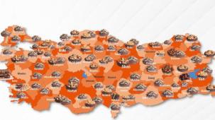 Hangi il, hangi kuruyemişi tercih ediyor? İşte 81 ilin kuruyemiş haritası!
