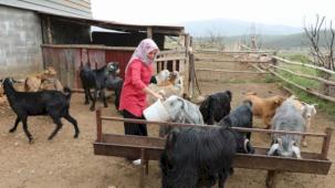 Muğlalı kadın üreticiler kazanıyor