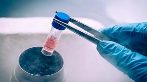 Ortopedide Kök Hücre Devrimi: Geleceğin Tedavi Yöntemi