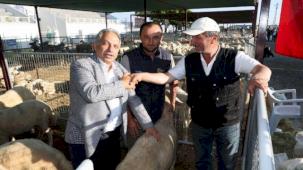 Talas’ta kurban pazarına başvurular başladı