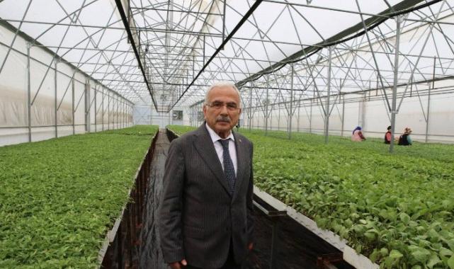 Üreticilere 4 milyon liralık fide