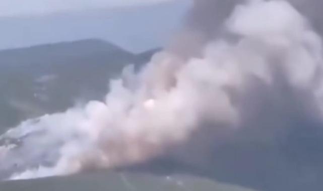 Bursa'da orman yangını!