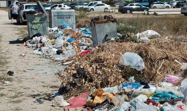 Edirne Keşan sahillerinde sezon açıldı... Ancak!