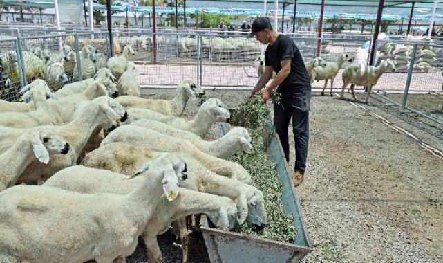 “Kayseri'de bir numara Talas Belediyesi”