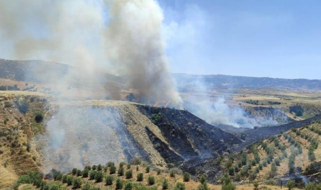 Manisa Alaşehir'de korkutan yangın kontrol altına alındı