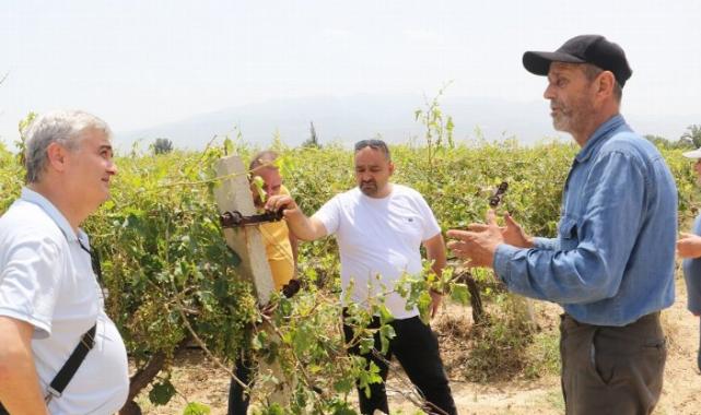 Manisa Meclisi'nden hasar gören üreticilere destek