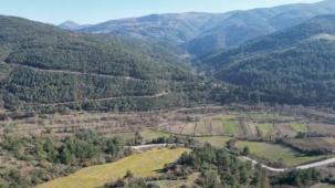 Arsalar yükselen değer olmayı sürdürüyor