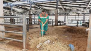 Bursa Osmangazi'de pazarlar temizlendi