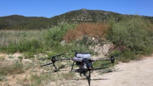 İzmir Efes Selçuk'ta Büyükşehir'den ilaçlama desteği