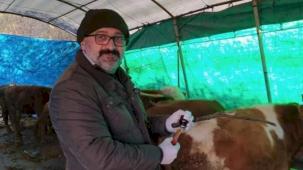 Kurban seçerken bunlara dikkat!