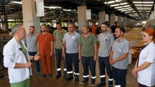 Osmangazi’de Kurban Yakalama Timi göreve hazır