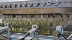 Torku bayramlıklarını hazırladı