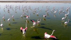 Turnalara 'halka'lı sıkı takip!