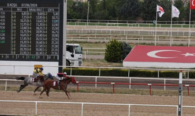 TJK'nın Nilüfer koşusunu 'Kardeşcan' kazandı