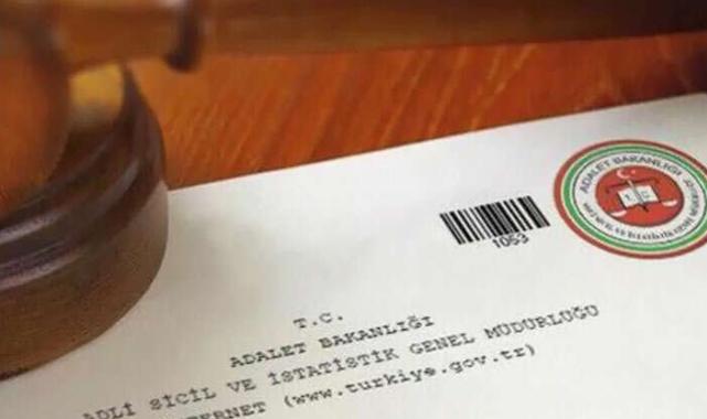 43 dilde adli sicil verilebiliyor... En çok alınan belge İngilizce
