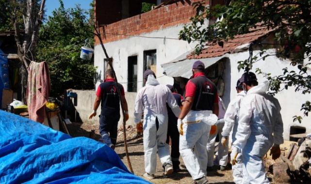 Düzce'de çöp evden 42 kamyon çöp çıktı