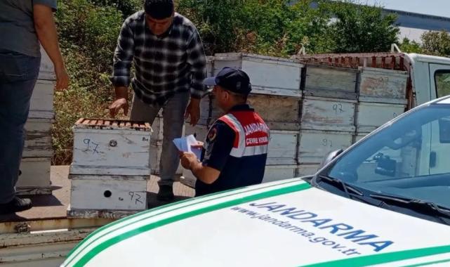Edirne'de arıcılara önemli uyarı
