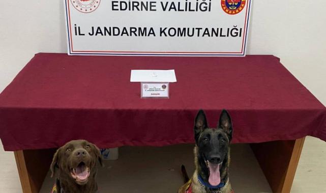 Edirne'de sürücüye kokainden adli işlem