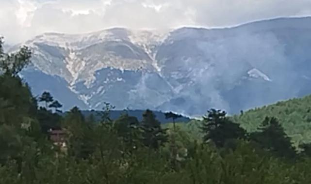 Keles'te orman yangını