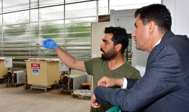 Manisa'da jeotermal seraya can suyu