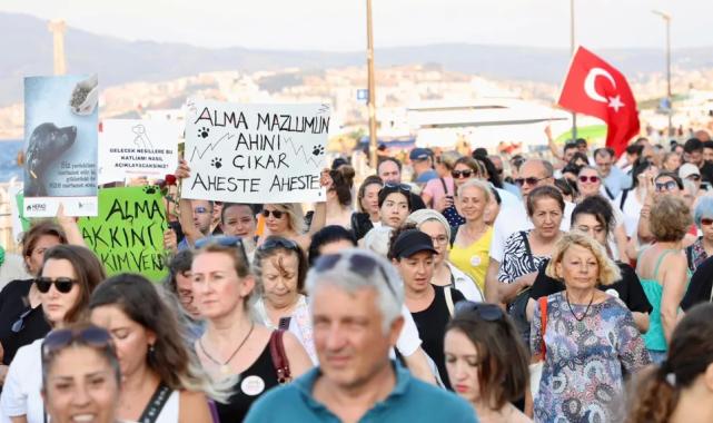 Sahipsiz hayvanlar için sesler Mudanya'dan yükseldi