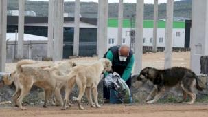 Çok tartışıldı... O düzenleme yasalaştı!