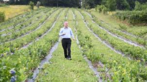 İnegöl'ün tarım modeli dünyaya yayılıyor