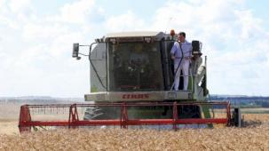 İstanbul'da deneme tohumlarında ilk hasat