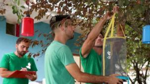 Kocaeli'de karasinek kapanları yaygınlaşıyor