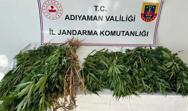 Adıyaman'da kenevire 3 gözaltı