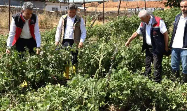 Bilecik Pazaryeri'nde yağıştan zarar gören arazilere yakın mercek