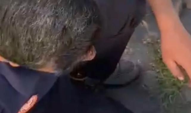 Büyükşehir İtfaiyesi, tehlikeye düşmüş tüm canlılara yardım elini uzatıyor