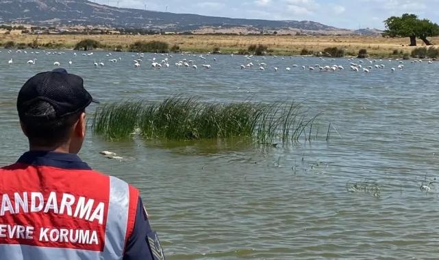 Edirne Jandarması Gala Gölü'nü koruyor