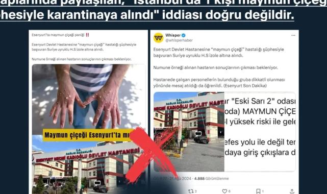 'Maymun Çiçeği'nin Türkiye iddiaları dezenformasyondan ibaret