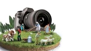 14. Uluslararası Tarım, Orman ve İnsan Fotoğraf Yarışması'na başvurularda son günler