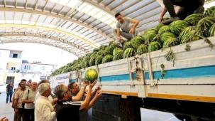 Bedava karpuza hücum ettiler