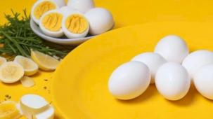 Biz Rumeliyiz Platformu'ndan 'yumurta' önerisi