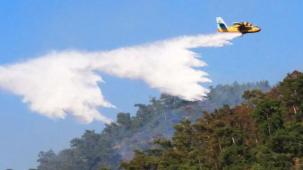 Ekinözü'nde orman yangını
