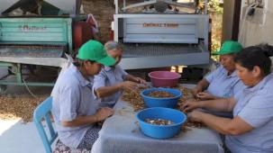 Muğla tarımı dünyaya açılıyor