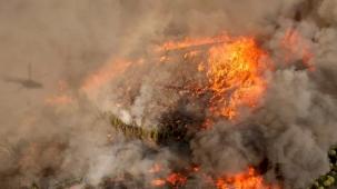 Orman yangınlarını önlemek işbirliği ile mümkün