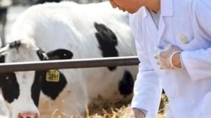 Tarımsal girdilerde artış sürüyor... Veteriner harcamaları revaçta