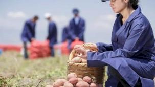 Yenileyici tarımda büyük başarı