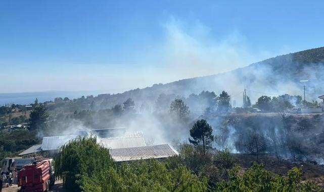 Yalova Armutlu'da orman yangını kontrol altında
