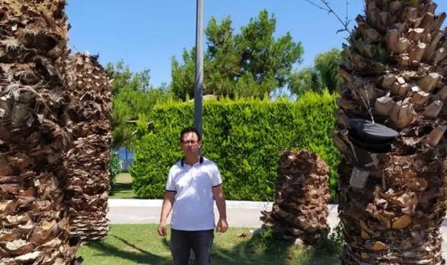 'Palmiye Kırmızı Böceği Mücadelesi' Bursa'da da uygulanıyor
